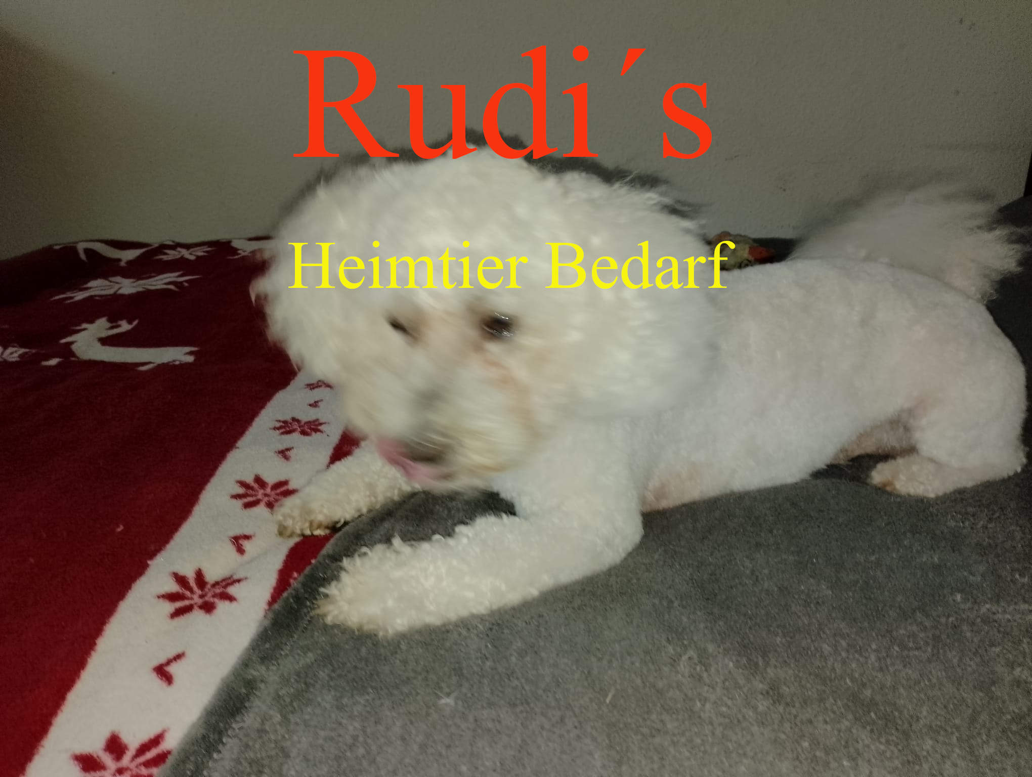 Rudi´s Heimtier Bedarf